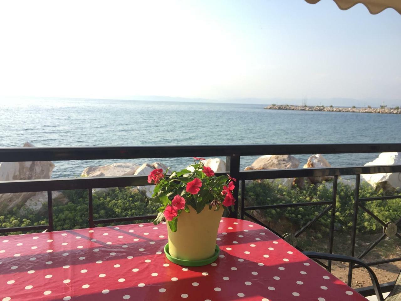 Skála Kallirákhis Kallisti Apartment מראה חיצוני תמונה